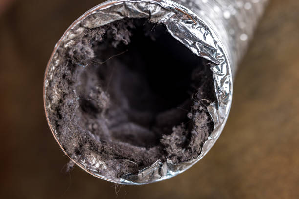 Best Local Air Duct Cleaning Services  in Cape St Claire, MD